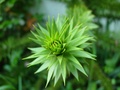 dsc00236.jpg