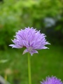 dsc00283.jpg