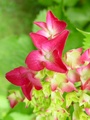 dsc00728.jpg