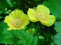 dsc03311.jpg