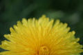 img_5787.jpg