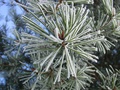 dsc02370.jpg