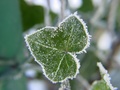 dsc02384.jpg