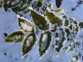 dsc02392.jpg