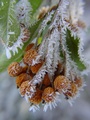 dsc02399.jpg