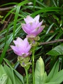 dsc00435.jpg