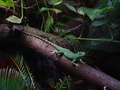 dsc03143.jpg