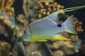 img_6080.jpg