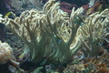 img_6130.jpg