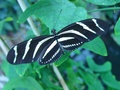 dsc02653.jpg
