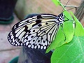 dsc02655.jpg