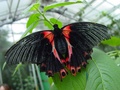 dsc02659.jpg