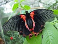 dsc02660.jpg