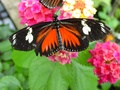dsc02666.jpg