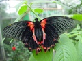 dsc02669.jpg