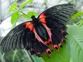 dsc02670.jpg