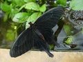 dsc02672.jpg