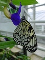dsc02674.jpg