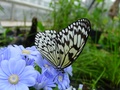 dsc02675.jpg