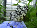 dsc02677.jpg