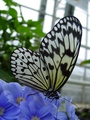 dsc02680.jpg