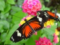 dsc02682.jpg