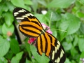 dsc02686.jpg