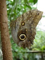 dsc02690.jpg