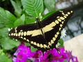 dsc02691.jpg
