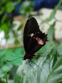 dsc02699.jpg