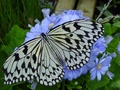 dsc02721.jpg