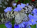 dsc02722.jpg