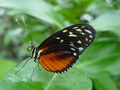 dsc02740.jpg