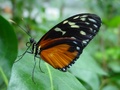 dsc02743.jpg