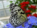dsc02744.jpg