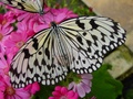 dsc02745.jpg