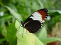 dsc02748.jpg