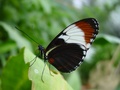 dsc02749.jpg