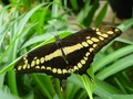 dsc02750.jpg