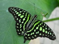 dsc02759.jpg